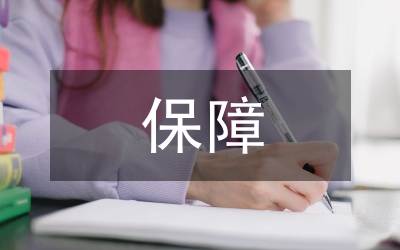 县劳动局保障工作计划