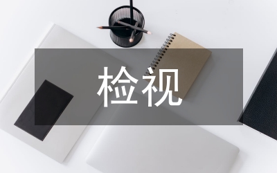 个人检视剖析材料